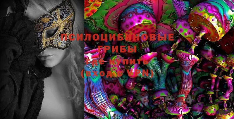 Псилоцибиновые грибы MAGIC MUSHROOMS  ссылка на мегу вход  Кукмор 